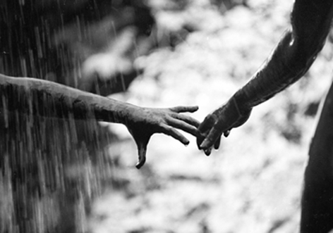 Foto: Hände in Regen
